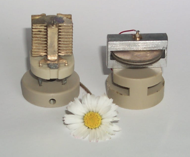The multilayered capacitor, the PSG and a daisy